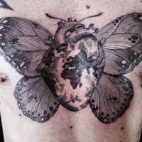 Heart with wings of a butterfly tattoo on chest
