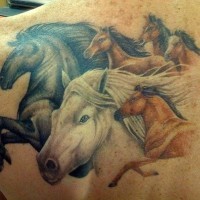 Tatuaje en el hombro, manada de caballos de pelajes diferentes