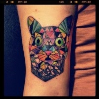 Homemade style colored arm tattoo of cat head with various figures