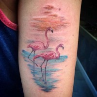 Tatuaje en el antebrazo, flamencos rosados en la playa borrosa