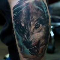Horrifying painted colored evil wolf tattoo on leg