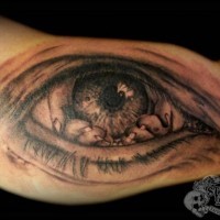 Tatuaje en el brazo,
manos que llevan pupila  dentro de ojo