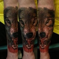 Horror style colored forearm tattoo of evil bloody wolf