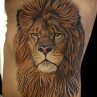 Tatuaje en el costado,
cara de león pelirrojo orgulloso