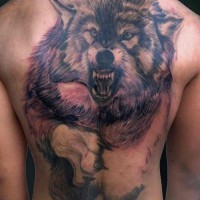 Huge traditional wolf tattoo on boys body