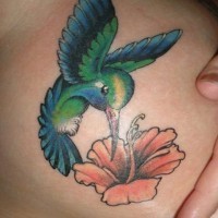 Hummingbird on lady chest parts