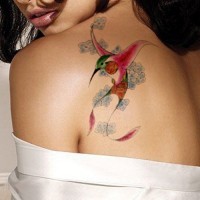 Hummingbird tattoo on lady  shoulder