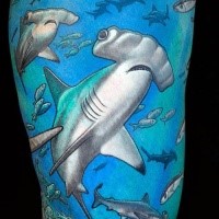 Illustrative style colored arm tattoo of various sharks and fishes tattoo