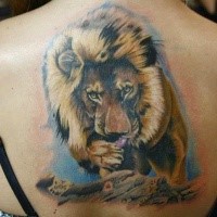 Illustrative style colored back tattoo of big lion with flowers