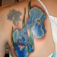 Illustrative style colored blue flowers tattoo on scapular