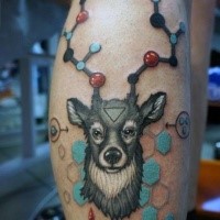 Illustrative style colored deer with chemistry