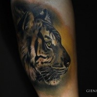 Illustrative style colored hand tattoo of tiger head