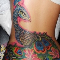 Illustrative style colored large whole back tattoo of peacock bird