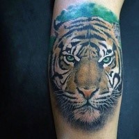 Illustrative style colored leg tattoo of tiger head