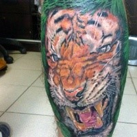 Illustrative style colored leg tattoo of tiger face