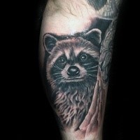 Illustrative style colored leg tattoo of very detailed raccoon