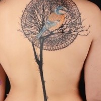 Illustrative style colored scapular tattoo of big tree with bird and ornament