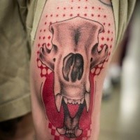 Illustrative style colored tattoo of animal skull with red ornaments