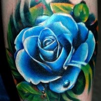 Illustrative style colored tattoo of blue rose