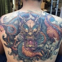 Illustrative style colored  whole back tattoo of big dragon