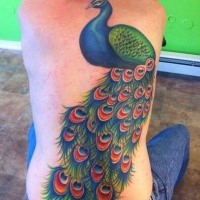 Illustrative style large whole back tattoo of breathtaking peacock