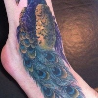 Illustrative style medium size colored ankle tattoo of peacock
