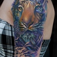 Illustrative style realistic colored sleeve tattoo of tiger face