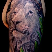 Illustrative style shoulder tattoo of lion head with jungle