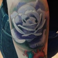 Illustrative style violet colored forearm tattoo of rose and human heart