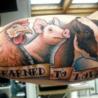 Impressive cartoon like colored animals with lettering tattoo n arm