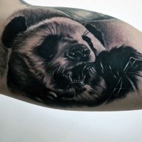 Impressive colored biceps tattoo of big and cute panda bear