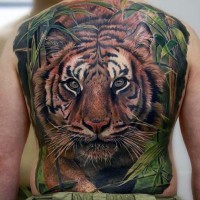 Tatuaje en la espalda,
tigre maravilloso impresionante muy realista en la selva