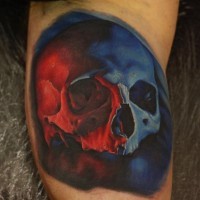 Impressive realistic looking very detailed skull tattoo on arm