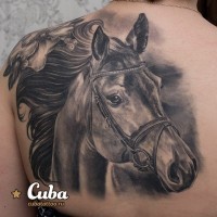 Impressive very detailed looking black and white horse tattoo on back