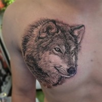 Incredible 3D realistic lifelike naturally colored wolf tattoo on chest