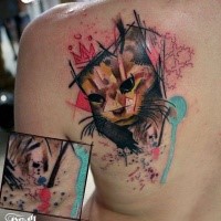 Incredible abstract style colored shoulder tattoo of cat portrait