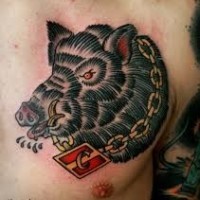 Incredible old school colored boar tattoo on chest with chain