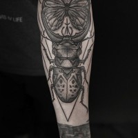 Tatuaje en el antebrazo, escarabajo con mariposa exóticos monocromos