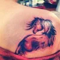 Indian horse tattoo on shoulder blade