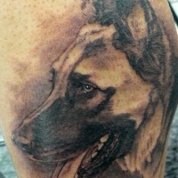 Ink gray german shepherd tattoo