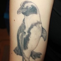 Tatuaje en el brazo,
pingüino simple, color negro y gris