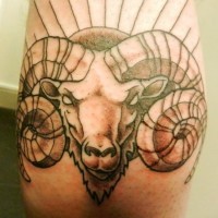 Tatuaje  de ovis estilizado