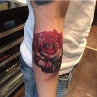 Interesting colored arm tattoo of large rose