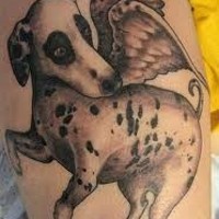 particolare dipinto 3D grande cane con ali tatuaggio su braccio