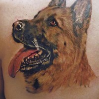 Interesting portrait german shepherd tattoo for woman
