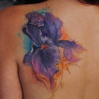 Iris le tatouage aquarelle par dopeindulgence