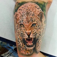 Tatuaje en el brazo,
jaguar con ojos de colores diferentes que caza