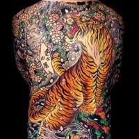 Japanese style tiger in sakura full back tattoo