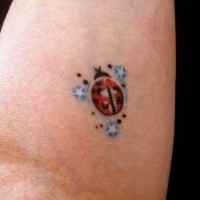 Ladybug and three blue stars tattoo
