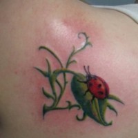 Tatuaggio  bellissimo sulla spalla la coccinella rossa sulla pianta verde